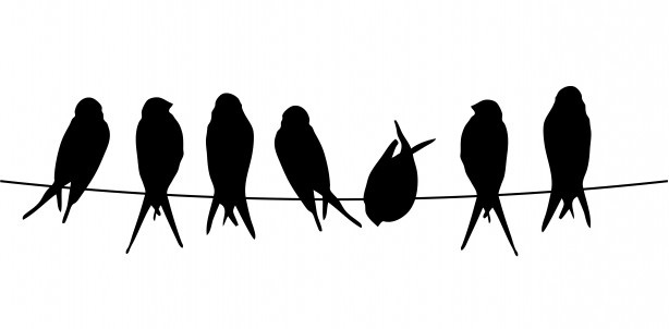 birds-on-a-wire_
